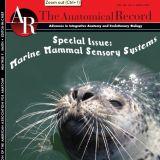 Das Sonderheft ist online!